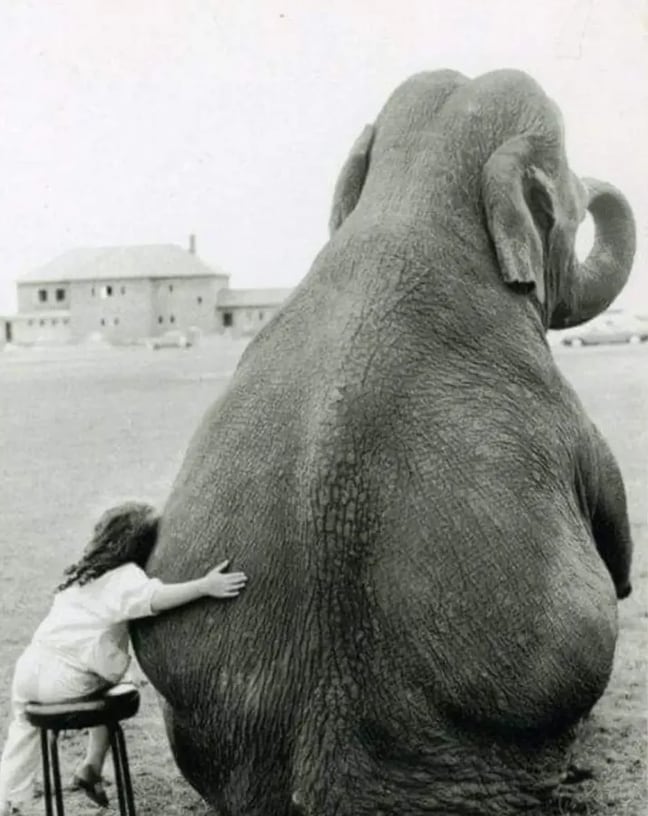 Immagine di copertina dello spunto "Sull'amore"