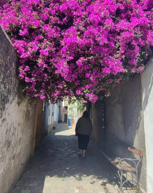 Immagine di copertina dello spunto "Stranieri nella propria vita"