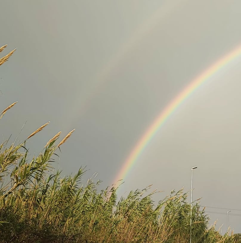 Immagine di copertina dello spunto "Aver cura dei confini"