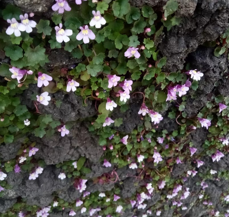Immagine di copertina dello spunto "Associazioni"