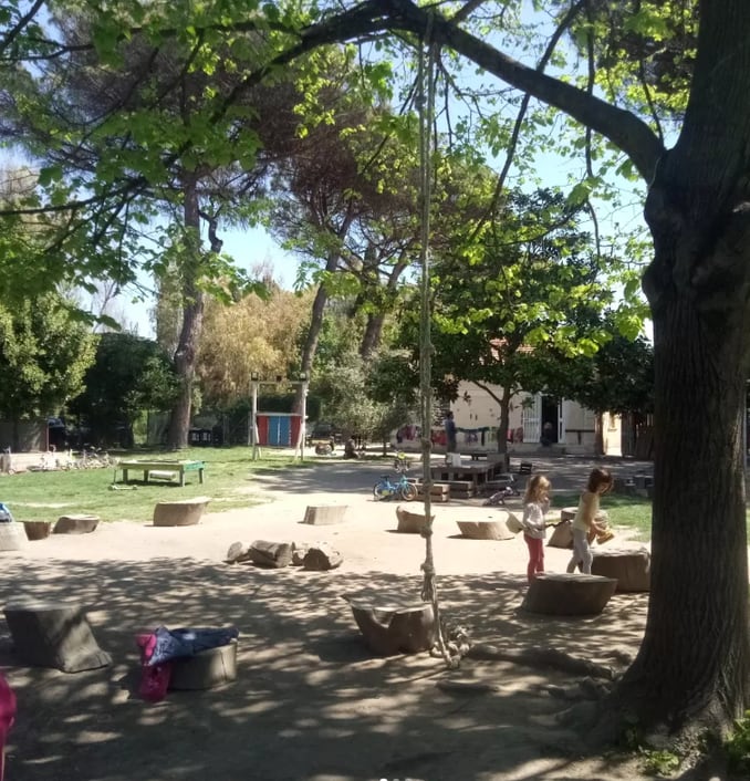 Immagine di copertina dello spunto "Pedagogia Viva"
