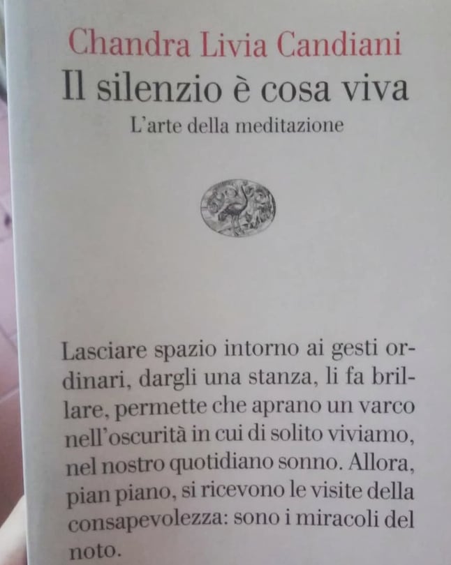 Immagine di copertina dello spunto "Il silenzio è cosa viva"