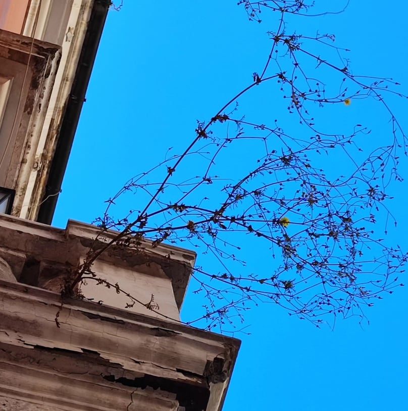 Immagine di copertina dello spunto "Alla ricerca dell'artista che abbiamo dentro"