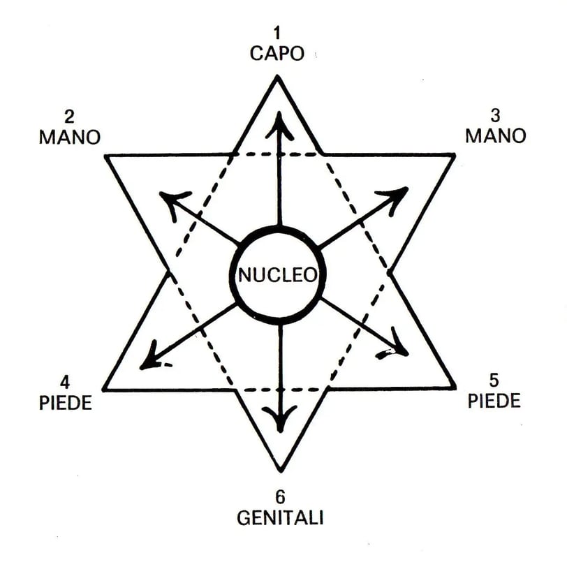 Immagine di copertina dello spunto "Un viaggio nel corpo"